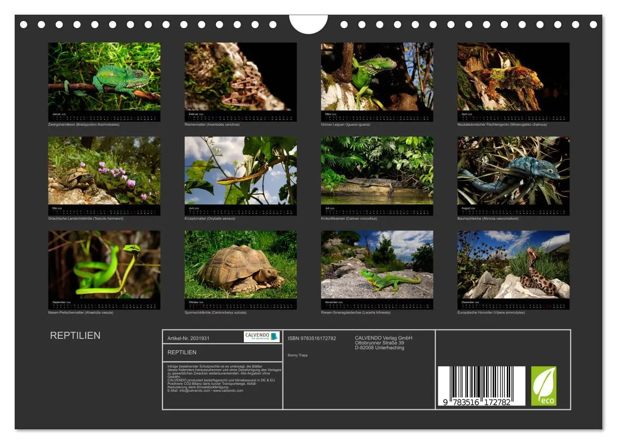 Bild: 9783516172782 | REPTILIEN (Wandkalender 2026 DIN A4 quer), CALVENDO Monatskalender