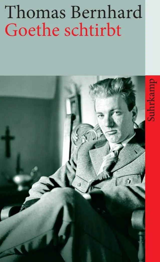 Cover: 9783518462782 | Goethe schtirbt | Erzählungen | Thomas Bernhard | Taschenbuch | 112 S.