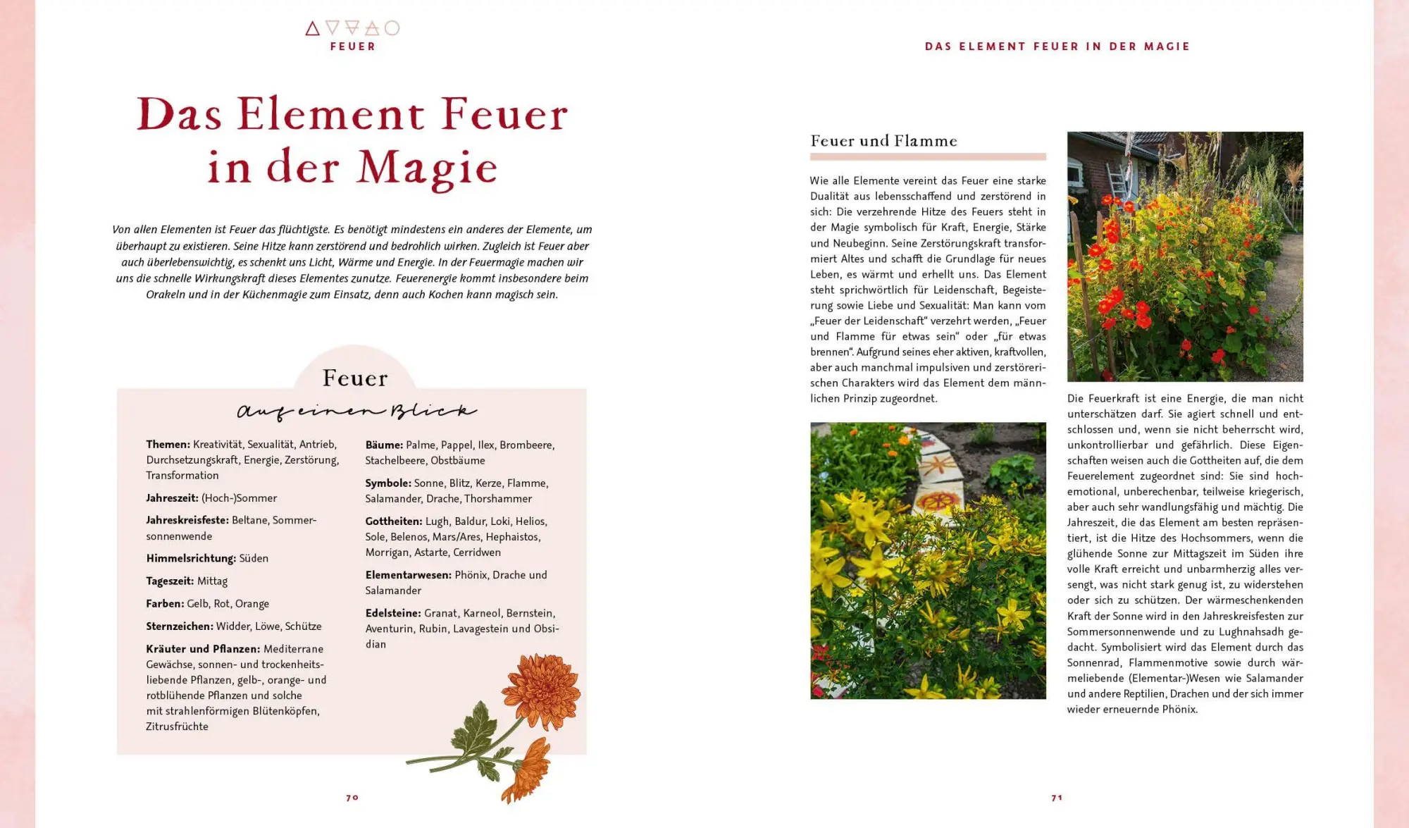 Bild: 9783745932782 | Magie im Hexengarten - Gärtnern mit grüner Magie | Minerva Winter