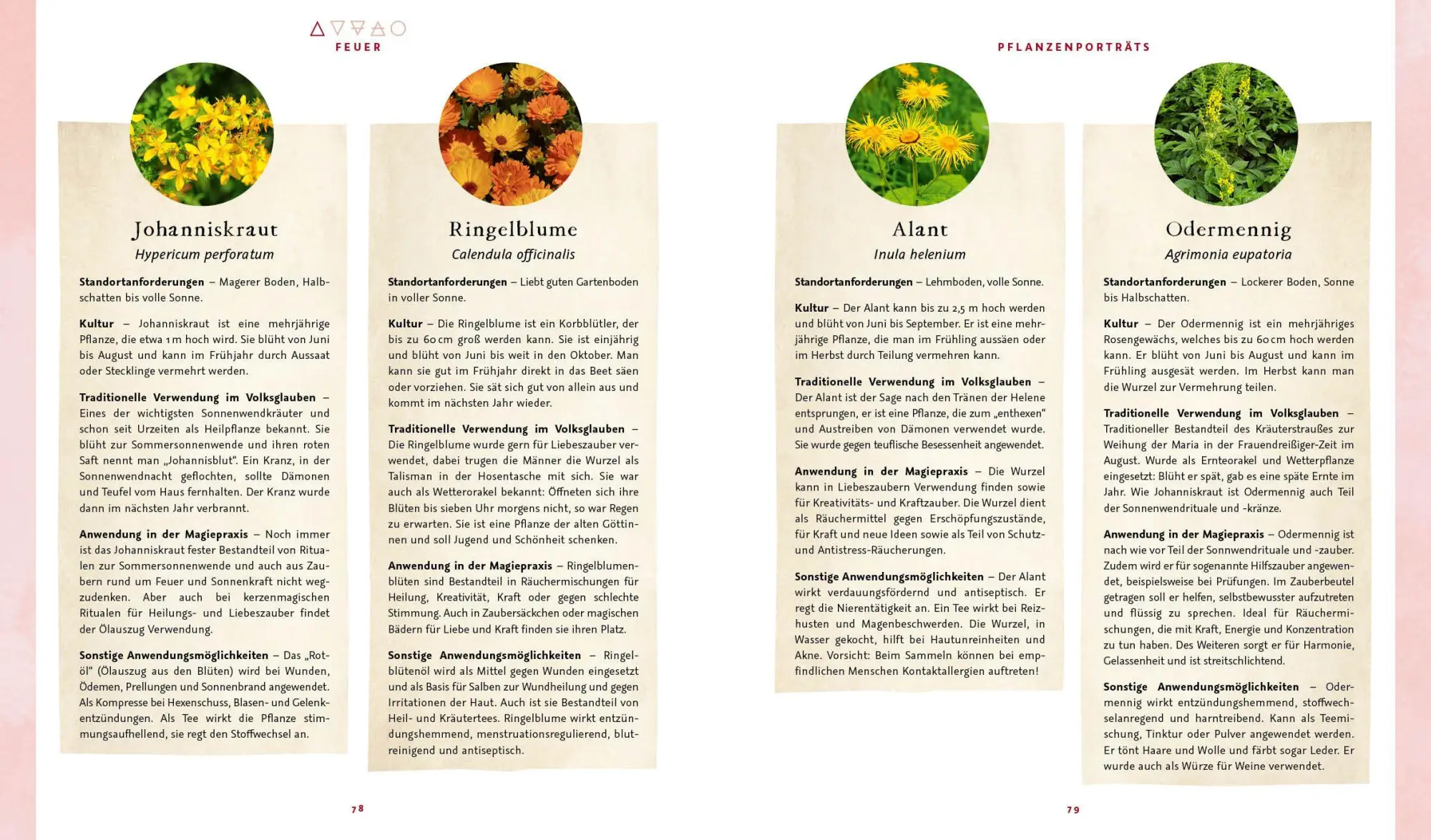 Bild: 9783745932782 | Magie im Hexengarten - Gärtnern mit grüner Magie | Minerva Winter