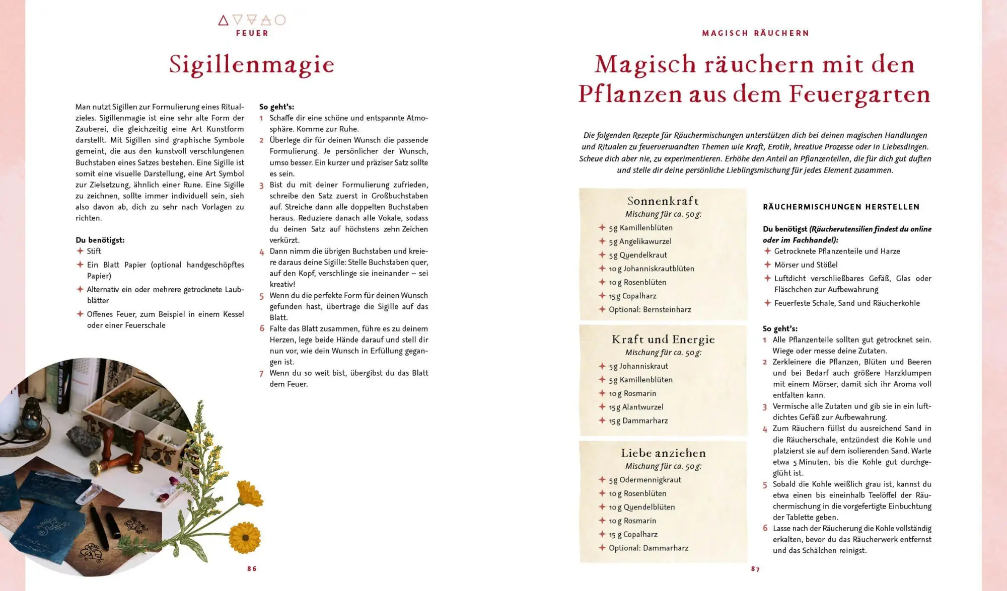 Bild: 9783745932782 | Magie im Hexengarten - Gärtnern mit grüner Magie | Minerva Winter