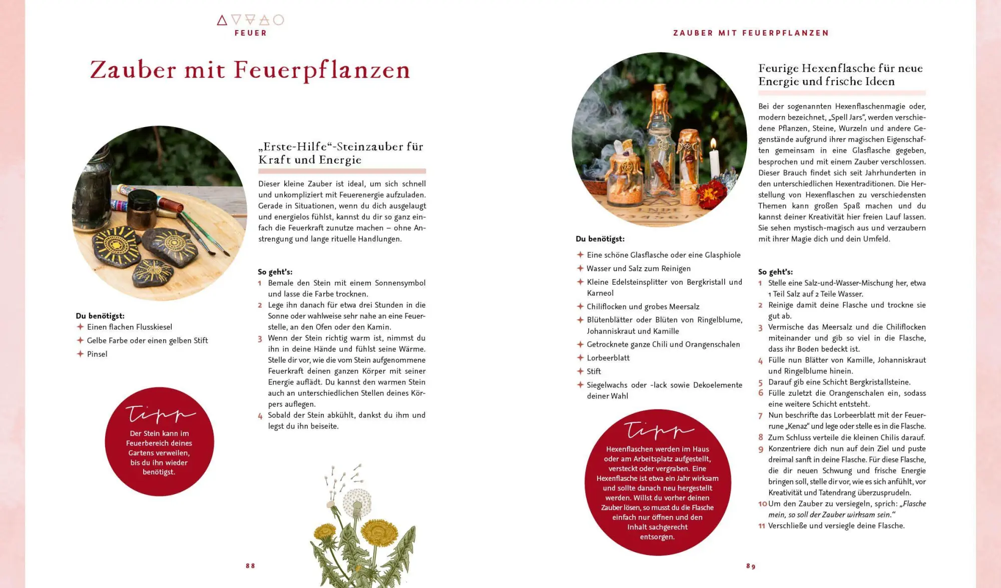 Bild: 9783745932782 | Magie im Hexengarten - Gärtnern mit grüner Magie | Minerva Winter