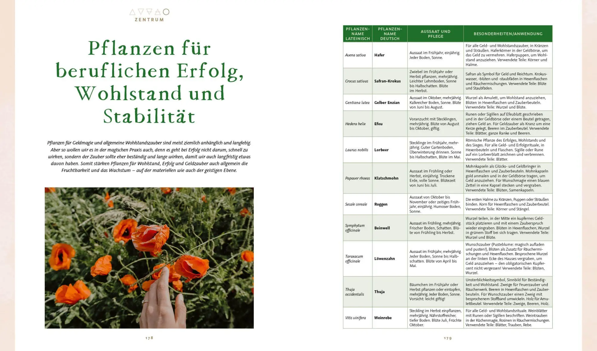 Bild: 9783745932782 | Magie im Hexengarten - Gärtnern mit grüner Magie | Minerva Winter
