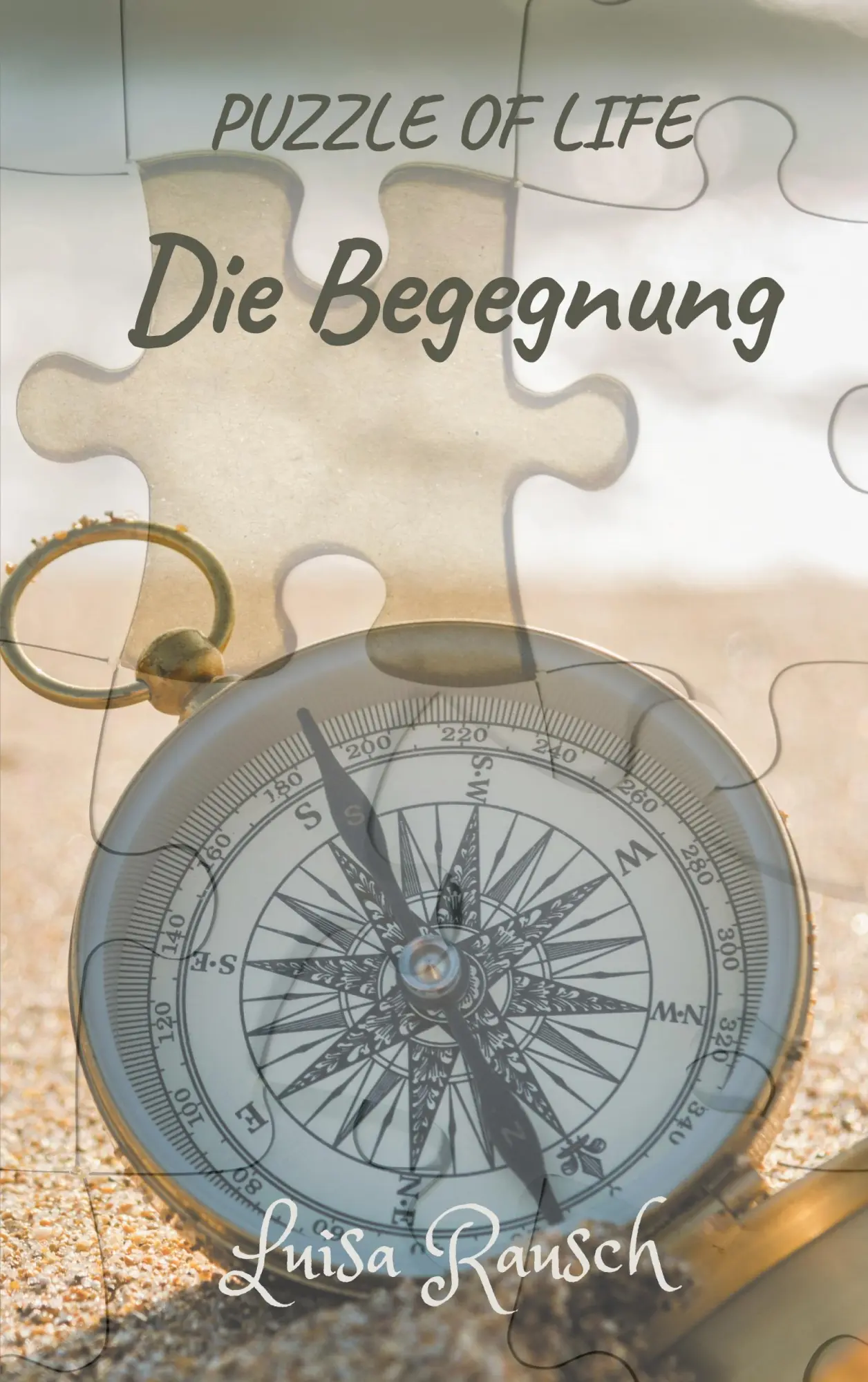 Cover: 9783753472782 | Puzzle of life | Die Begegnung | Luisa Rausch | Taschenbuch | 328 S.
