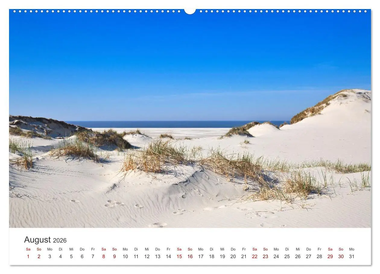 Bild: 9783457522882 | Amrum - Perle der Nordsee (hochwertiger Premium Wandkalender 2026...