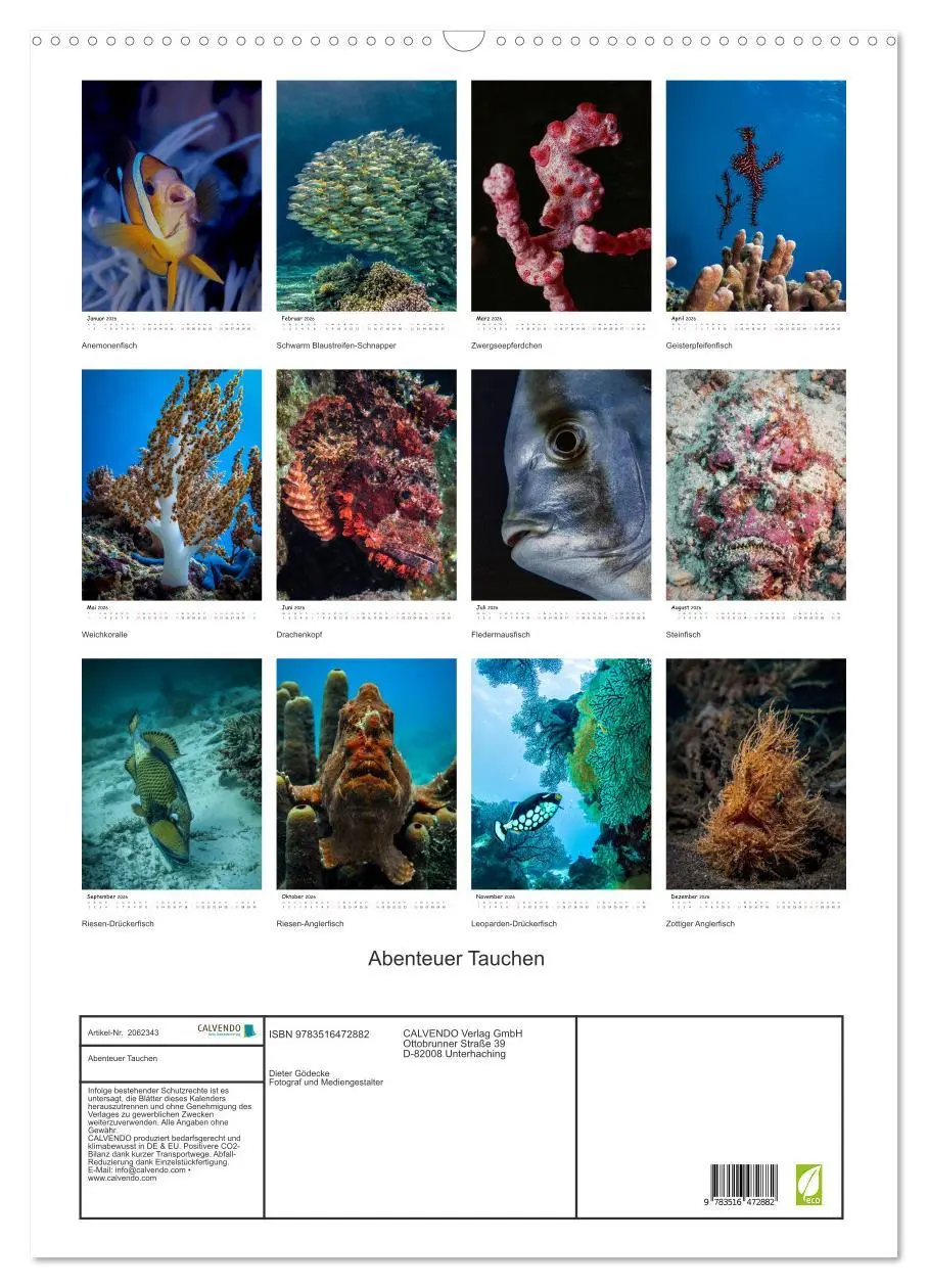 Bild: 9783516472882 | Abenteuer Tauchen (Wandkalender 2026 DIN A2 hoch), CALVENDO...