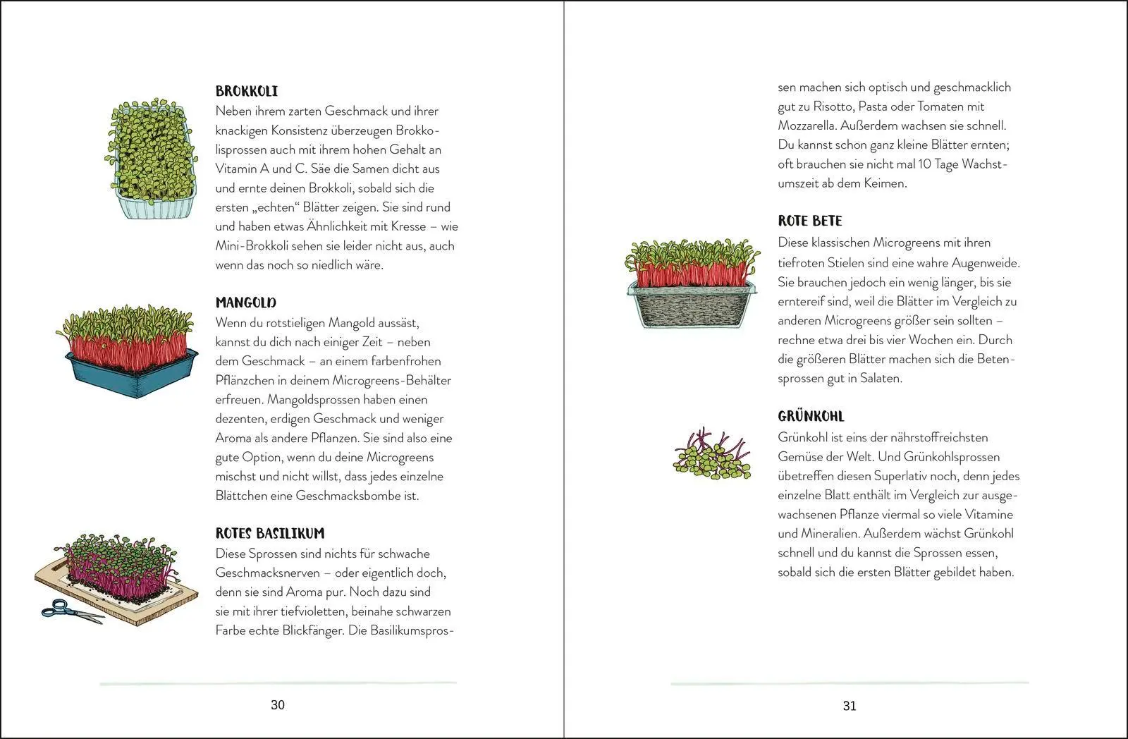 Bild: 9783848502882 | Mein Garten auf der Fensterbank | Liz Marvin | Buch | 176 S. | Deutsch