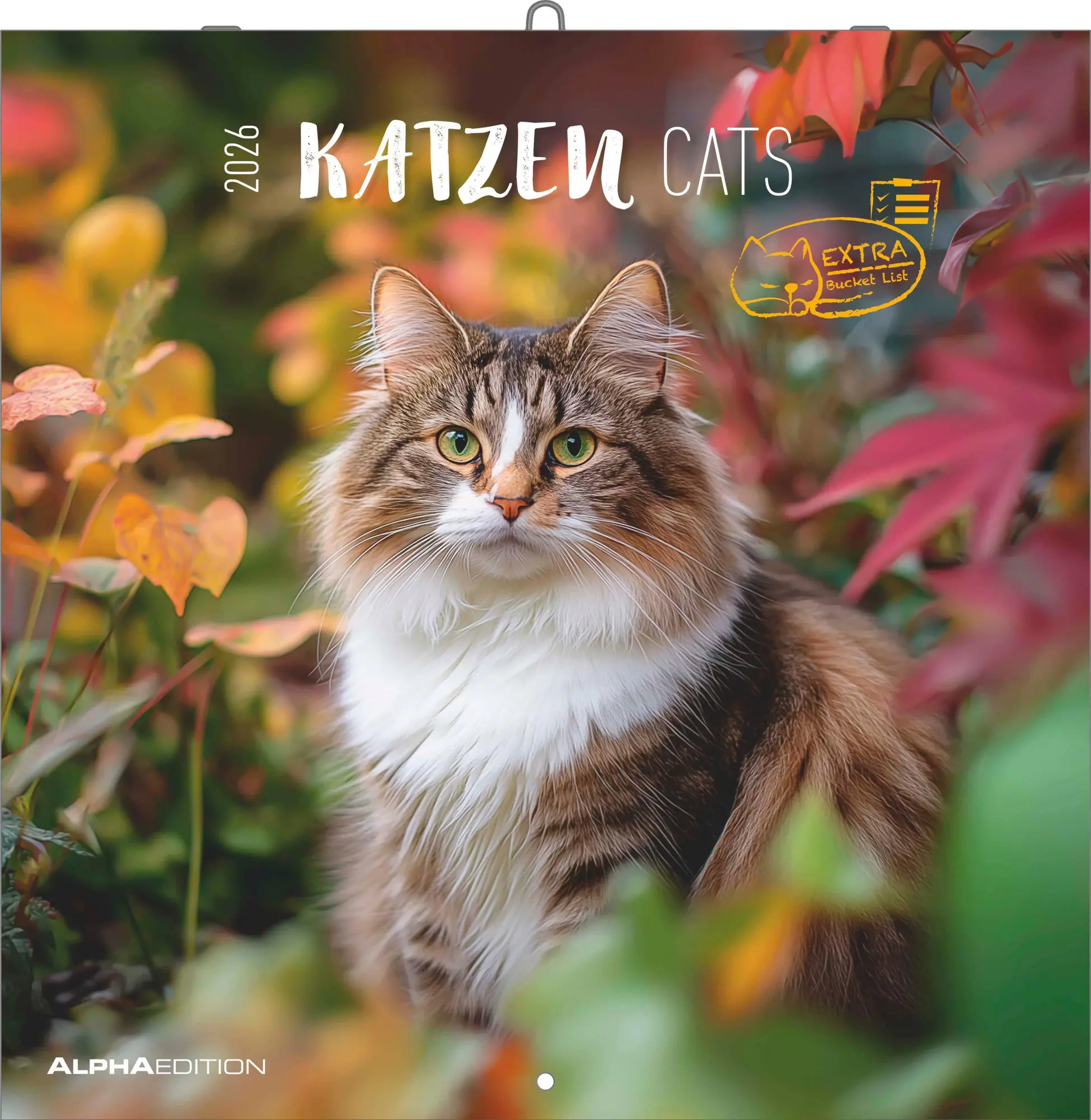 Cover: 4069095002982 | Katzen 2026 - Broschürenkalender 30x30 cm (30x60 geöffnet) -...