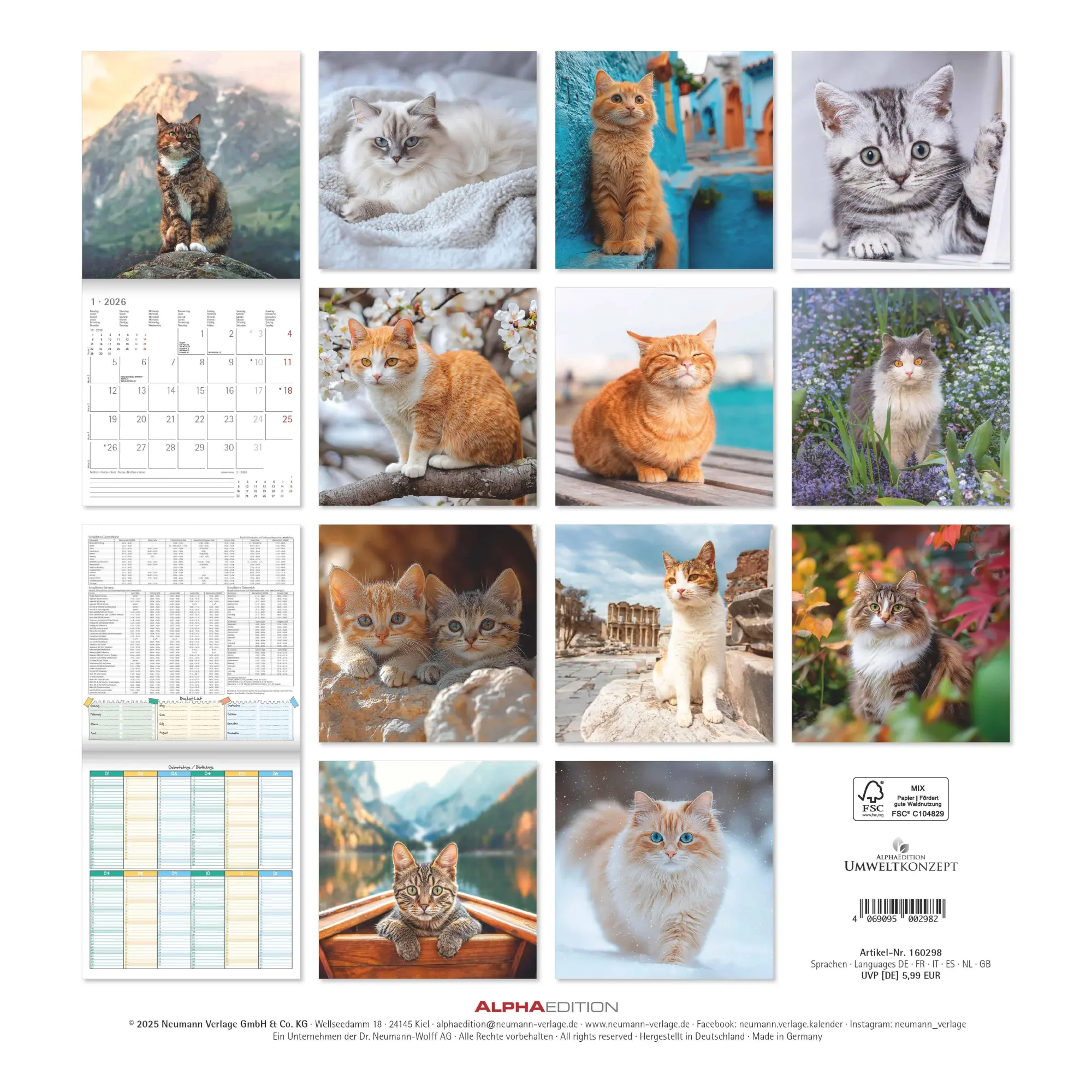Rückseite: 4069095002982 | Katzen 2026 - Broschürenkalender 30x30 cm (30x60 geöffnet) -...