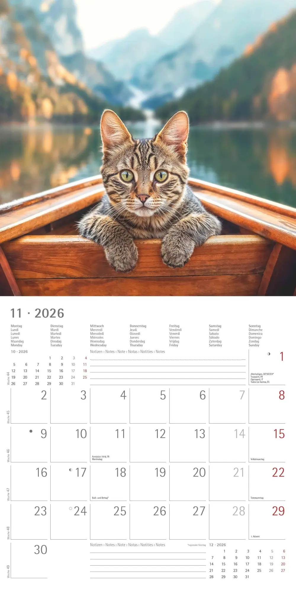 Bild: 4069095002982 | Katzen 2026 - Broschürenkalender 30x30 cm (30x60 geöffnet) -...