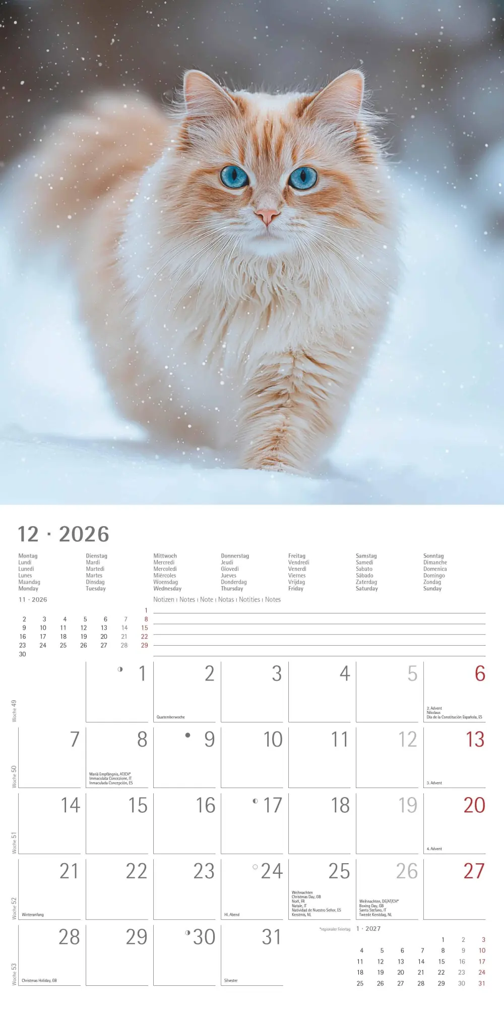 Bild: 4069095002982 | Katzen 2026 - Broschürenkalender 30x30 cm (30x60 geöffnet) -...