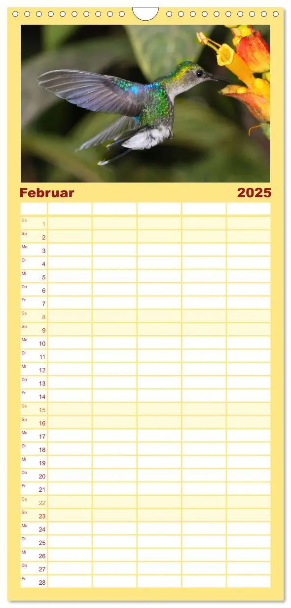 Bild: 9783457193082 | Familienplaner 2025 - Kolibris; Anmut, Schönheit, Farben mit 5...