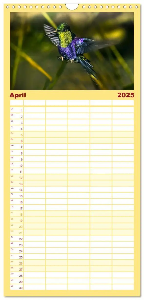 Bild: 9783457193082 | Familienplaner 2025 - Kolibris; Anmut, Schönheit, Farben mit 5...