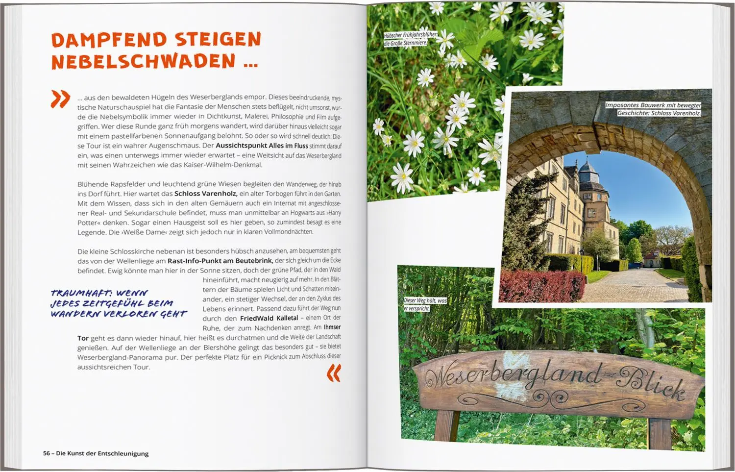 Bild: 9783616033082 | DUMONT Wanderzeit im Teutoburger Wald | Ann-Christin Meermeier (u. a.)