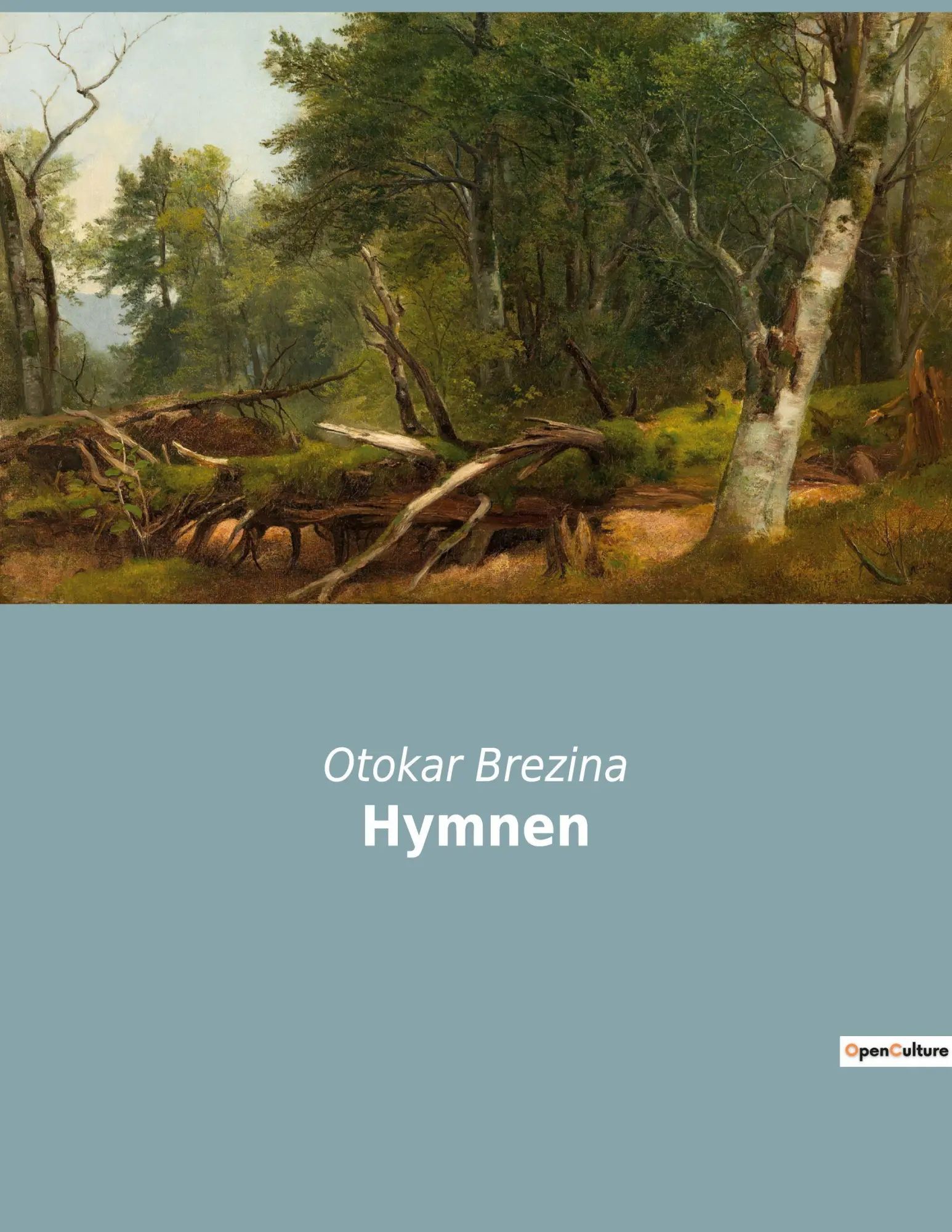 Cover: 9782385083182 | Hymnen | Eine poetische Erkundung von Licht und Dunkelheit | Brezina