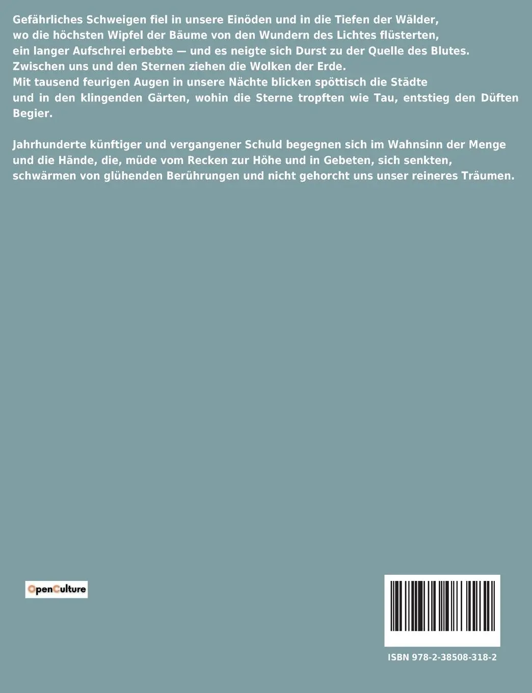 Rückseite: 9782385083182 | Hymnen | Eine poetische Erkundung von Licht und Dunkelheit | Brezina