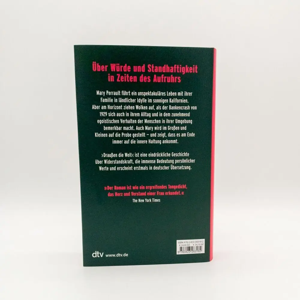 Bild: 9783423283182 | Draußen die Welt | Roman | Janet Lewis | Buch | 368 S. | Deutsch | DTV