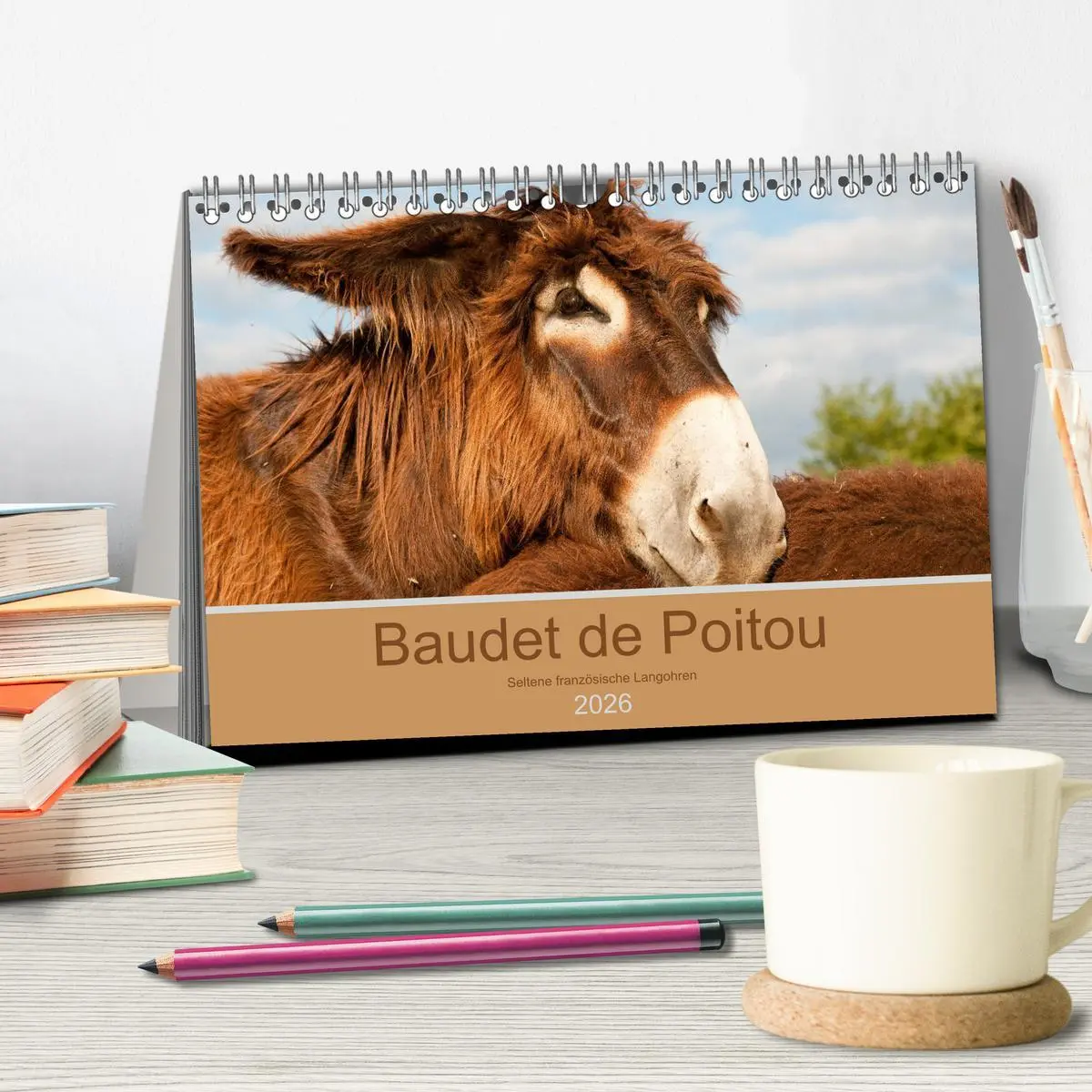 Bild: 9783457873182 | Baudet de Poitou - Seltene französische Langohren (Tischkalender...