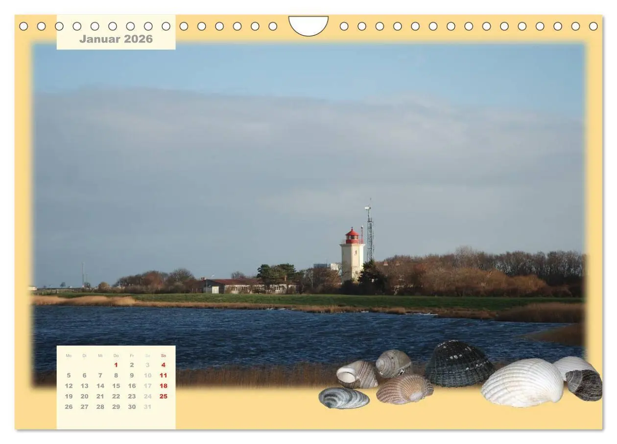 Bild: 9783516103182 | Leuchttürme Schleswig-Holsteins (Wandkalender 2026 DIN A4 quer),...