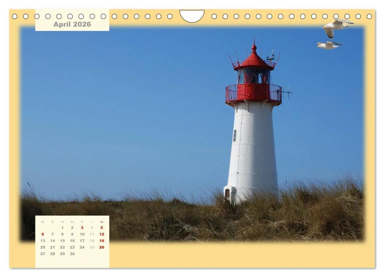 Bild: 9783516103182 | Leuchttürme Schleswig-Holsteins (Wandkalender 2026 DIN A4 quer),...