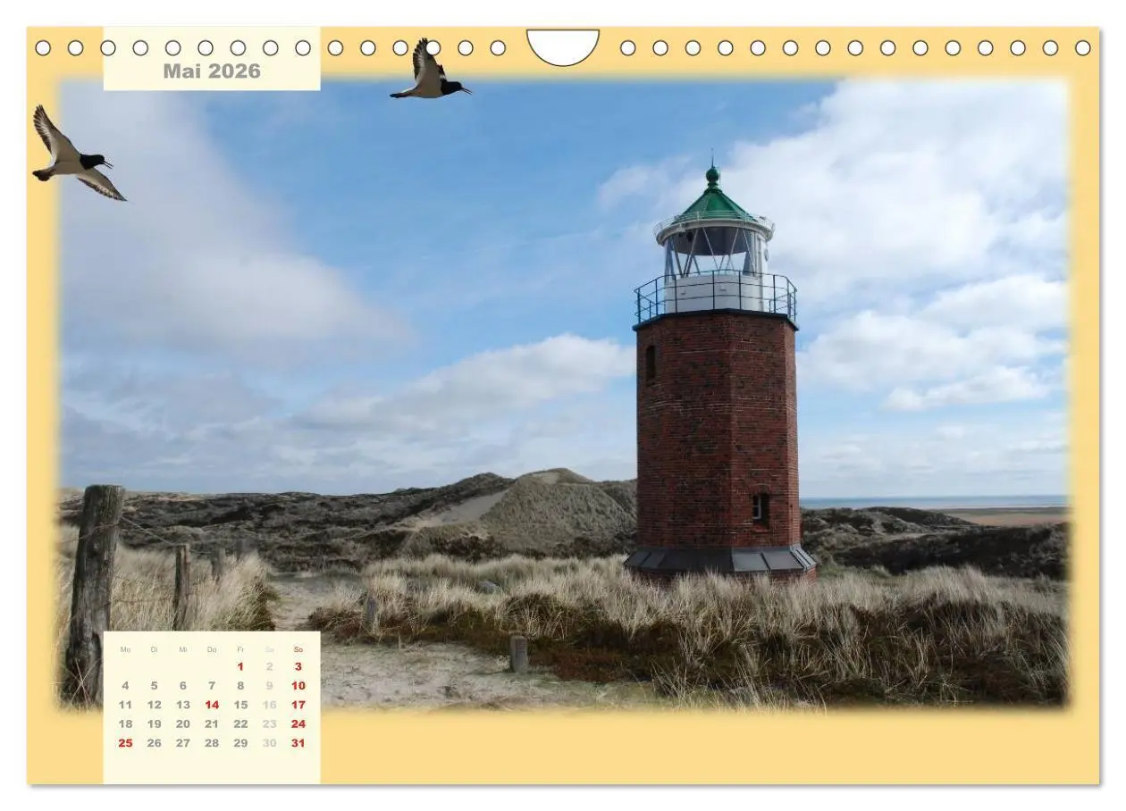 Bild: 9783516103182 | Leuchttürme Schleswig-Holsteins (Wandkalender 2026 DIN A4 quer),...
