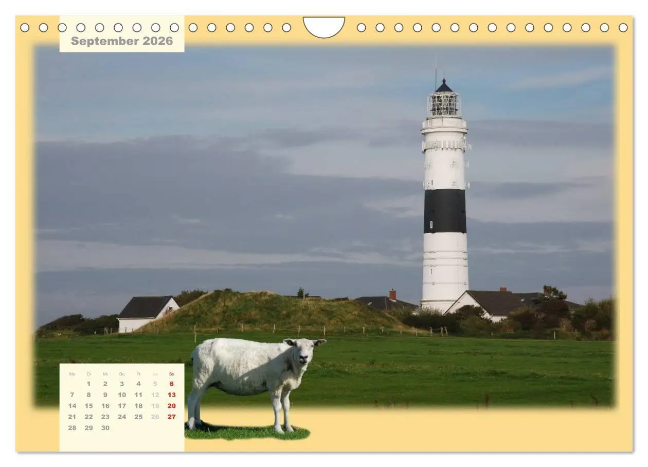 Bild: 9783516103182 | Leuchttürme Schleswig-Holsteins (Wandkalender 2026 DIN A4 quer),...