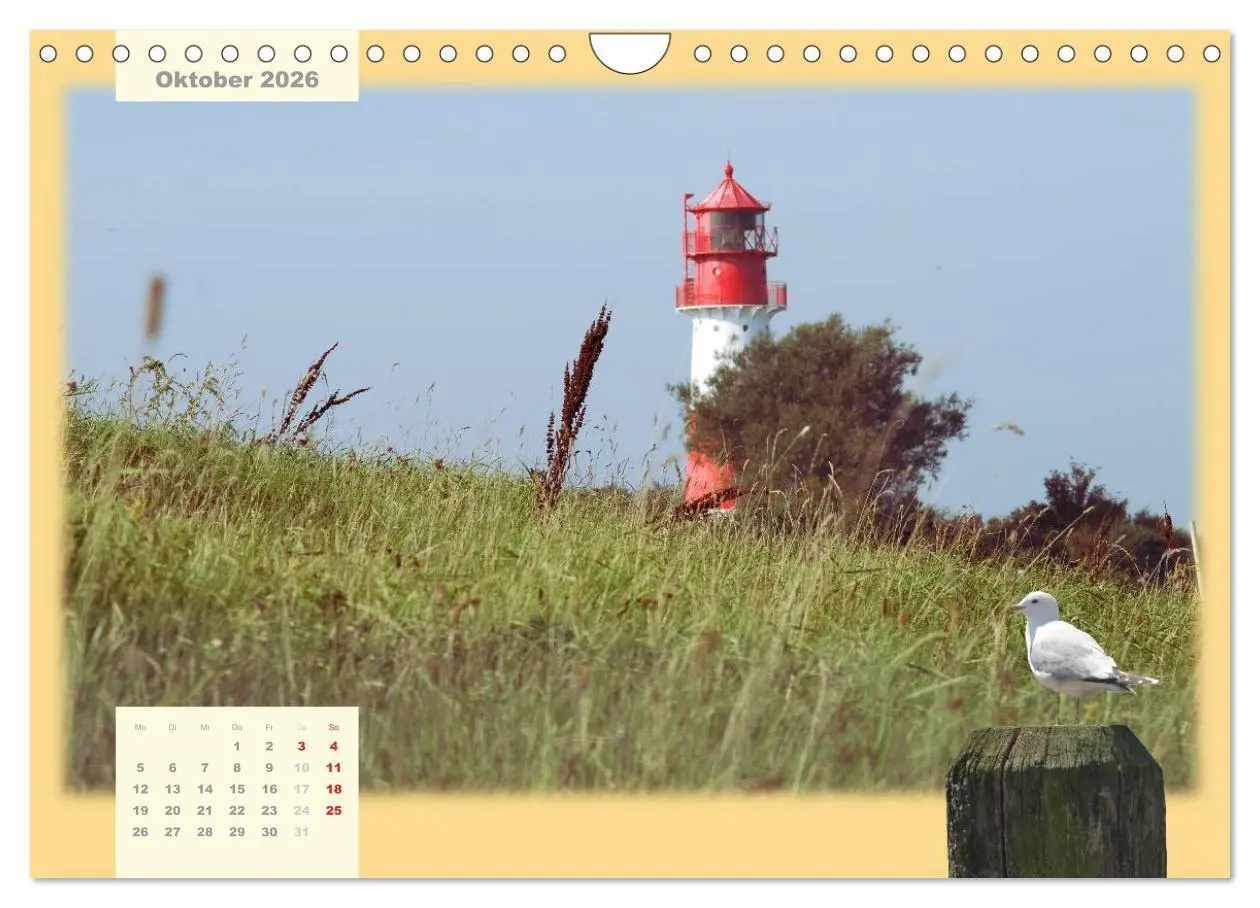 Bild: 9783516103182 | Leuchttürme Schleswig-Holsteins (Wandkalender 2026 DIN A4 quer),...