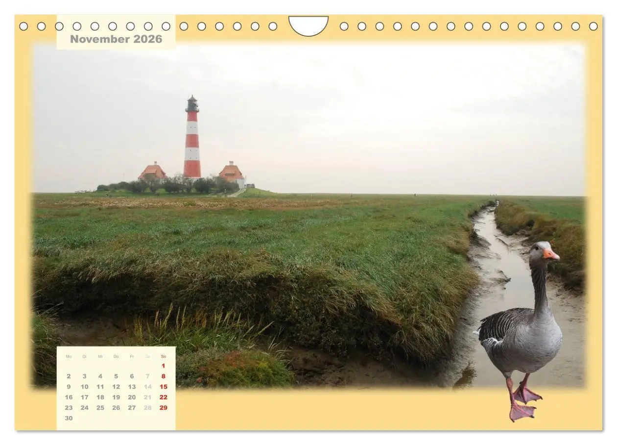 Bild: 9783516103182 | Leuchttürme Schleswig-Holsteins (Wandkalender 2026 DIN A4 quer),...