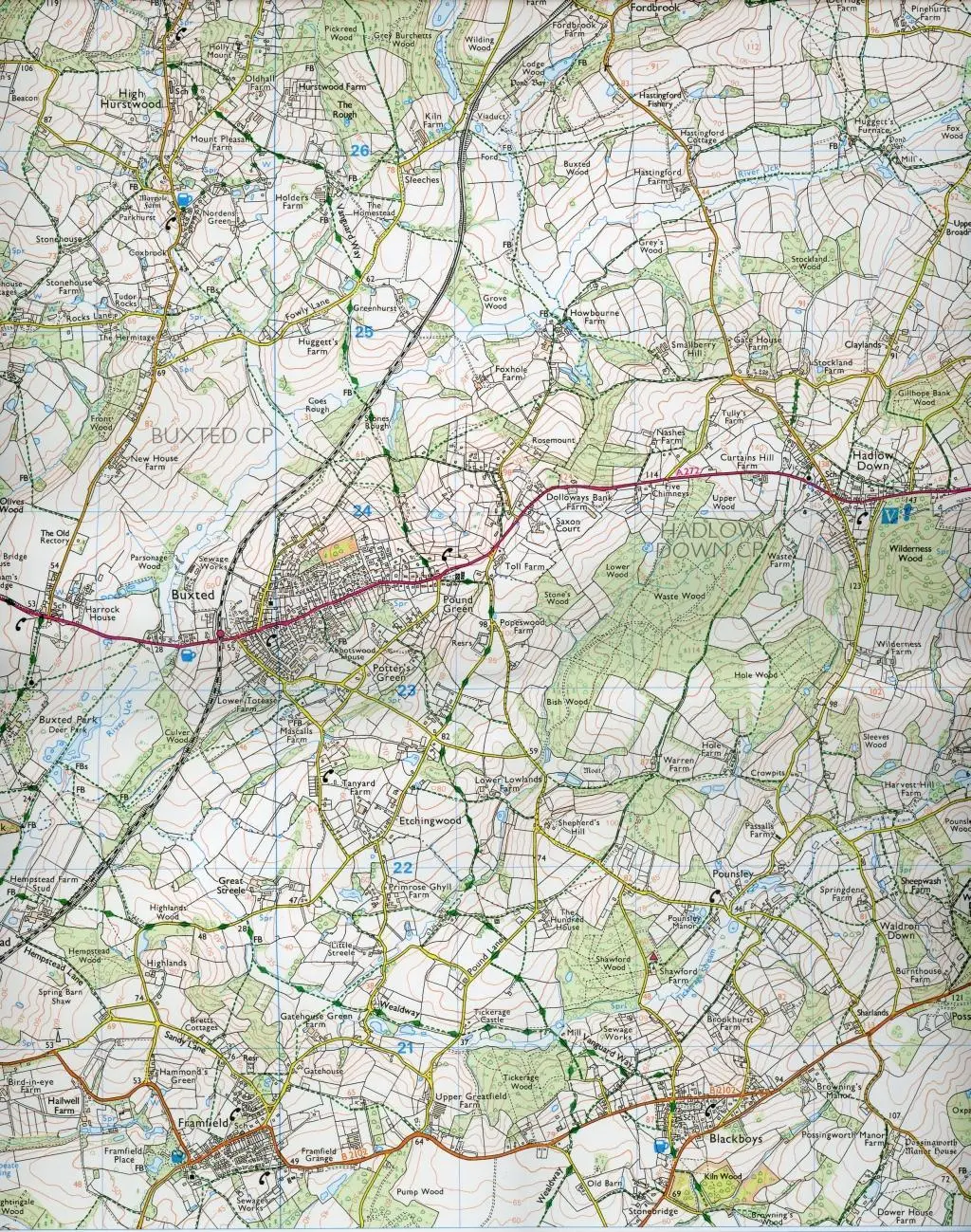 Bild: 9780319243282 | Ashdown Forest | Ordnance Survey | (Land-)Karte | OS Explorer Map