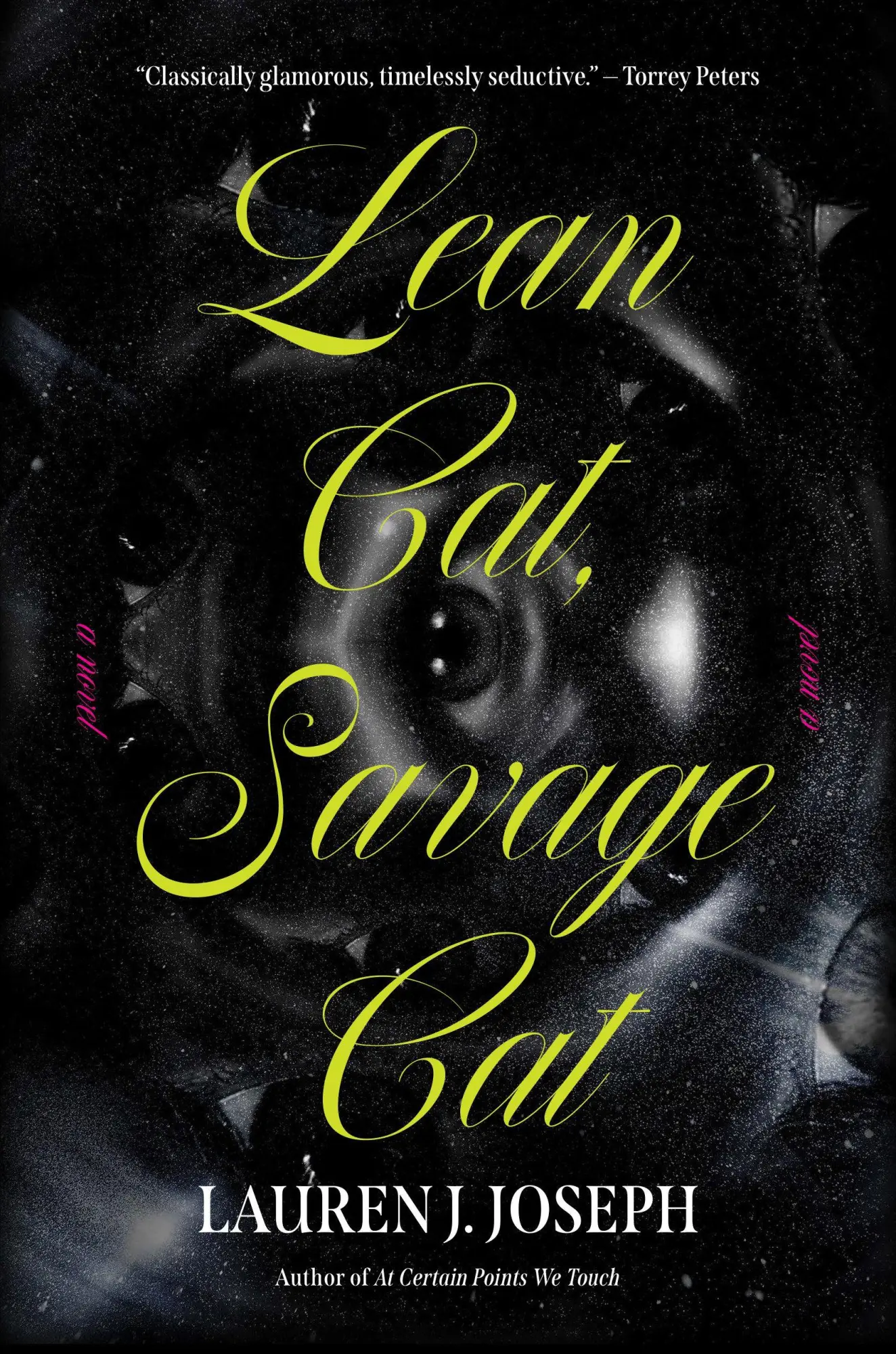 Cover: 9781646223282 | Lean Cat, Savage Cat | Lauren J Joseph | Buch | Englisch | 2026