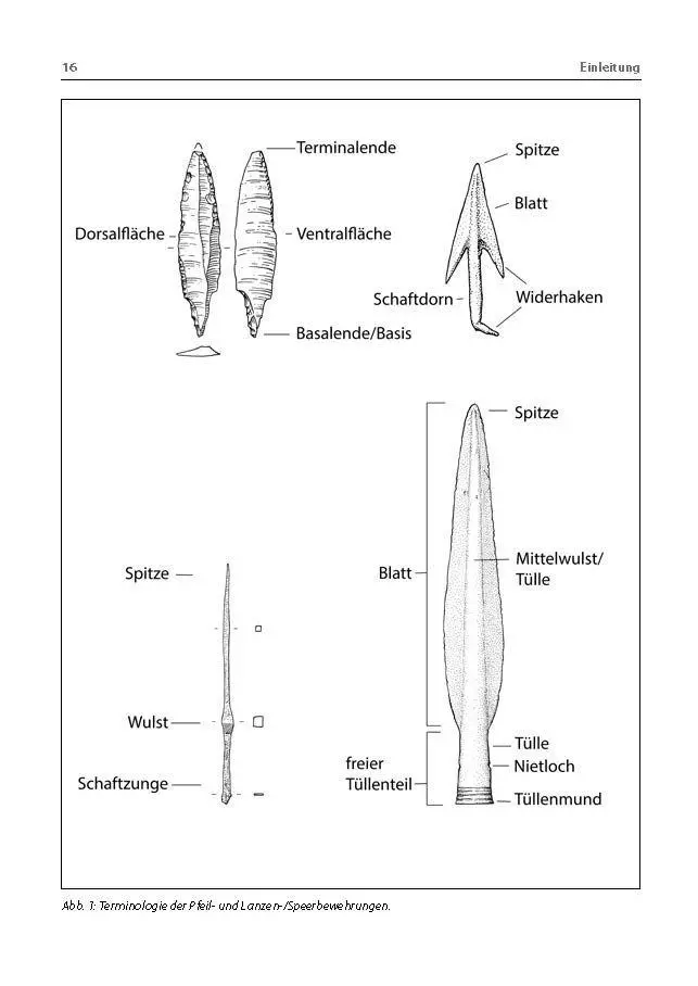 Bild: 9783422803282 | Pfeil- und Lanzenspitzen | Erkennen. Bestimmen. Beschreiben. | Weller