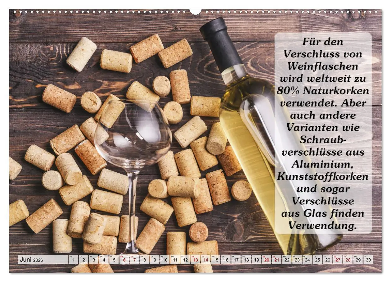 Bild: 9783457623282 | Wissenswertes über Wein (Wandkalender 2026 DIN A2 quer), CALVENDO...