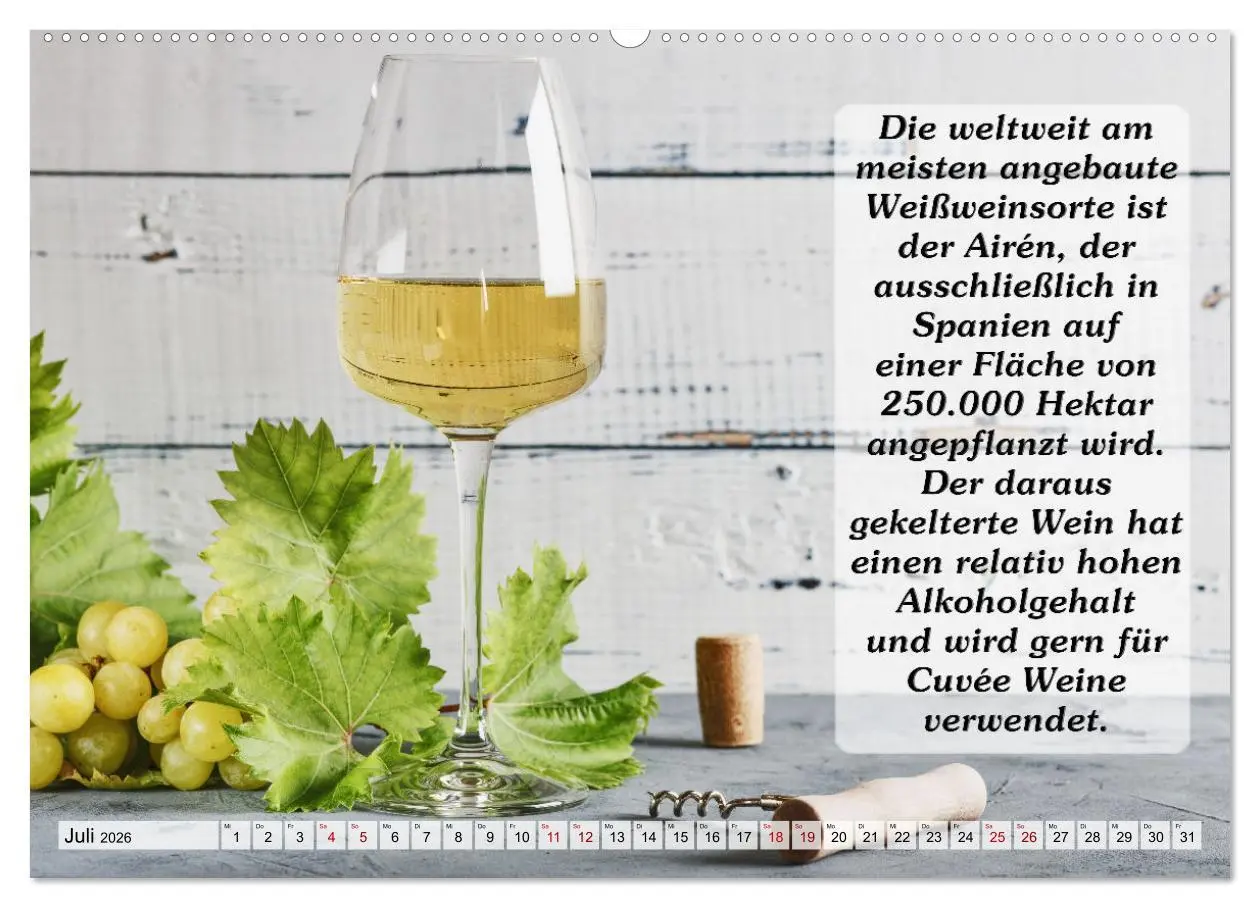 Bild: 9783457623282 | Wissenswertes über Wein (Wandkalender 2026 DIN A2 quer), CALVENDO...