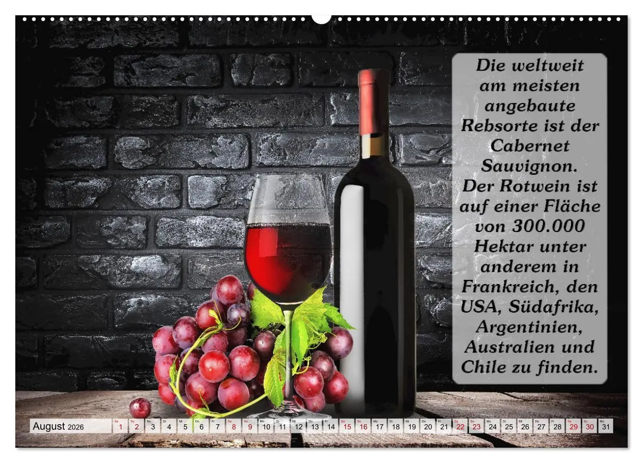 Bild: 9783457623282 | Wissenswertes über Wein (Wandkalender 2026 DIN A2 quer), CALVENDO...