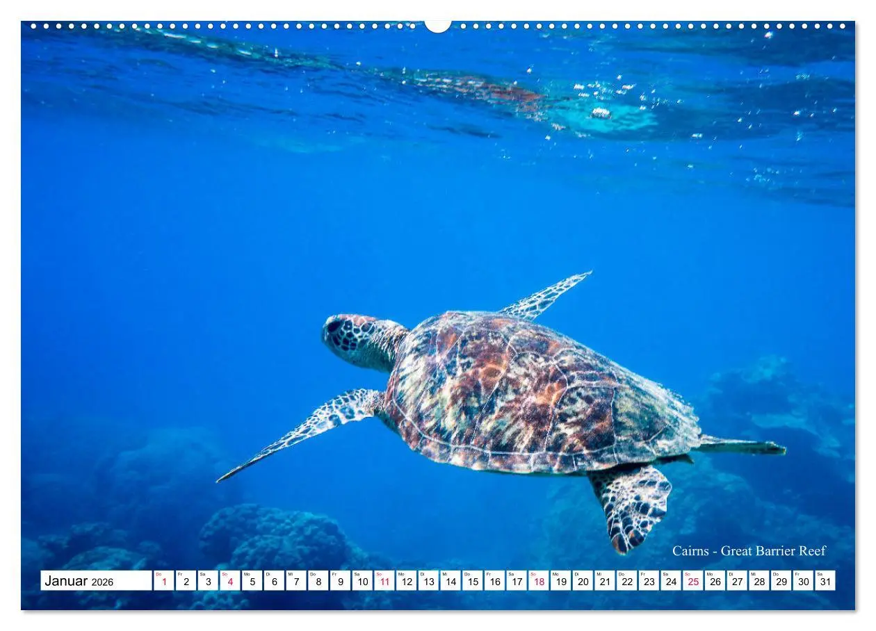 Bild: 9783457793282 | Australien Ostküste - von Cairns nach Sydney (Wandkalender 2026 DIN...
