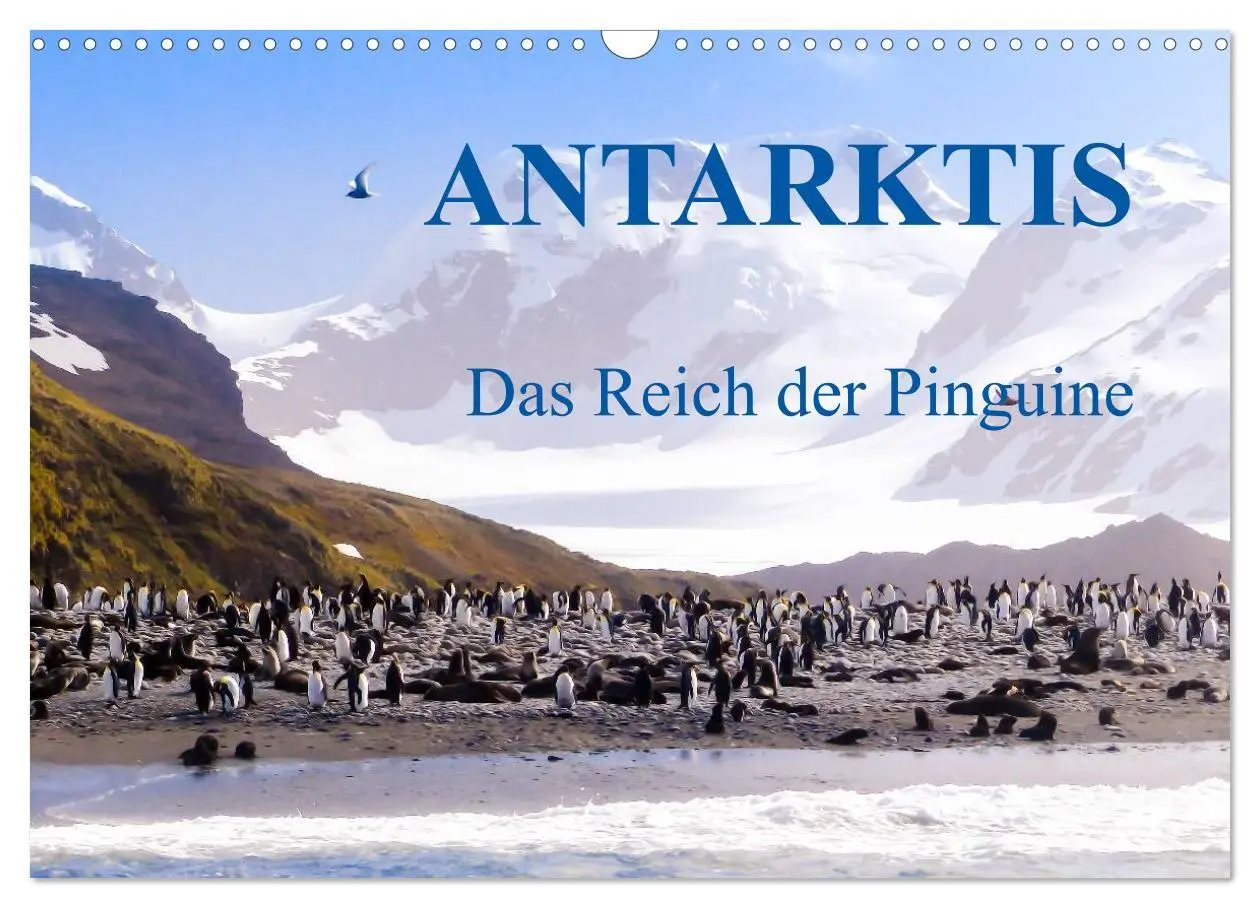 Cover: 9783516193282 | Antarktis - Das Reich der Pinguine (Wandkalender 2026 DIN A3 quer),...