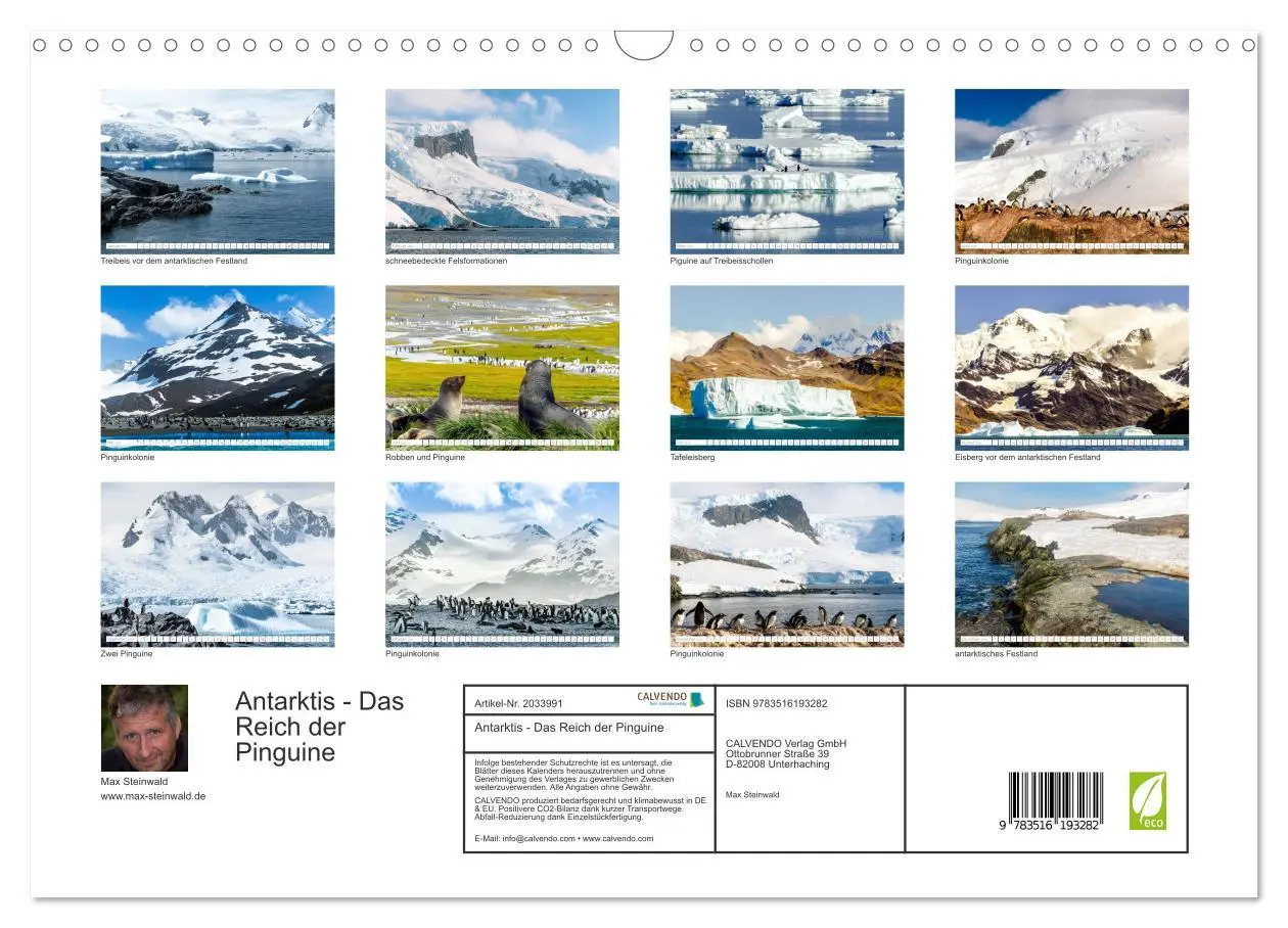 Bild: 9783516193282 | Antarktis - Das Reich der Pinguine (Wandkalender 2026 DIN A3 quer),...
