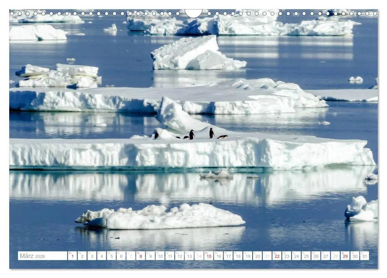 Bild: 9783516193282 | Antarktis - Das Reich der Pinguine (Wandkalender 2026 DIN A3 quer),...