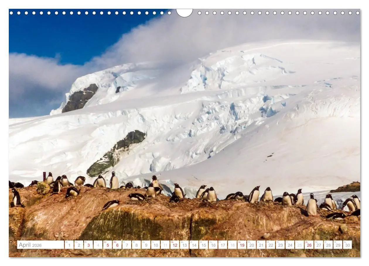 Bild: 9783516193282 | Antarktis - Das Reich der Pinguine (Wandkalender 2026 DIN A3 quer),...
