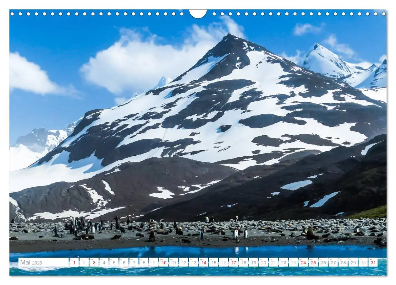 Bild: 9783516193282 | Antarktis - Das Reich der Pinguine (Wandkalender 2026 DIN A3 quer),...