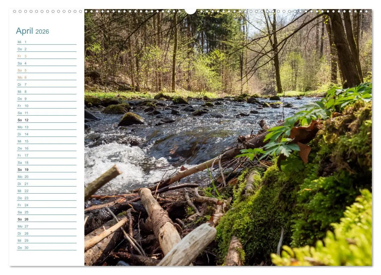 Bild: 9783457543382 | Lebensadern - Elbsandstein (Wandkalender 2026 DIN A2 quer),...