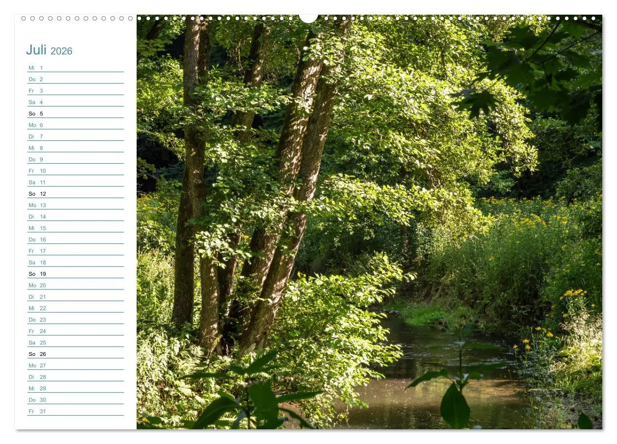 Bild: 9783457543382 | Lebensadern - Elbsandstein (Wandkalender 2026 DIN A2 quer),...