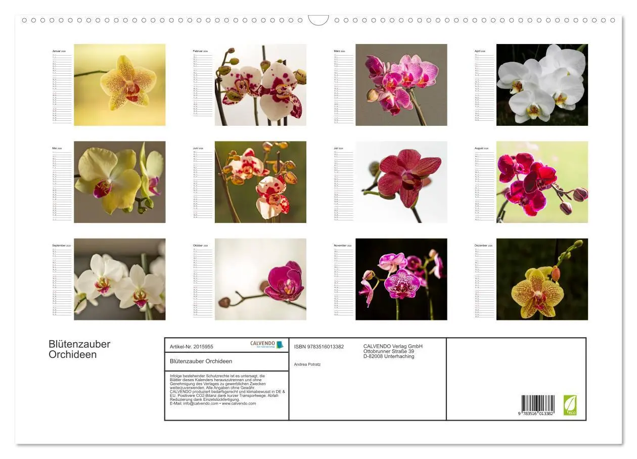 Bild: 9783516013382 | Blütenzauber Orchideen (Wandkalender 2026 DIN A2 quer), CALVENDO...