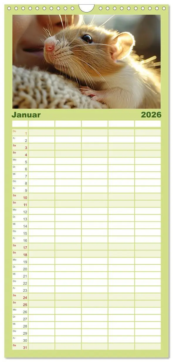 Bild: 9783516493382 | Familienplaner 2026 - Mein bester Kumpel ist eine Ratte mit 5...