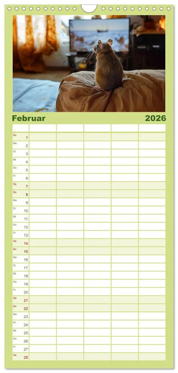 Bild: 9783516493382 | Familienplaner 2026 - Mein bester Kumpel ist eine Ratte mit 5...