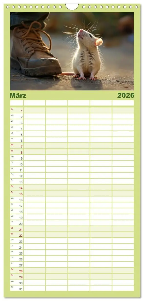 Bild: 9783516493382 | Familienplaner 2026 - Mein bester Kumpel ist eine Ratte mit 5...