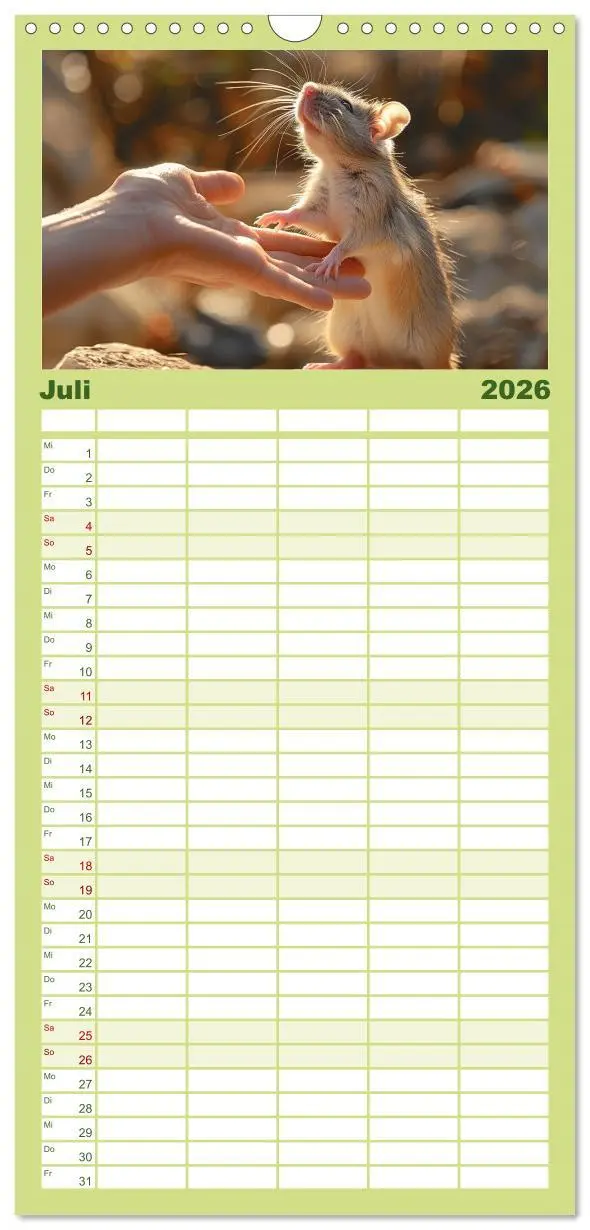 Bild: 9783516493382 | Familienplaner 2026 - Mein bester Kumpel ist eine Ratte mit 5...