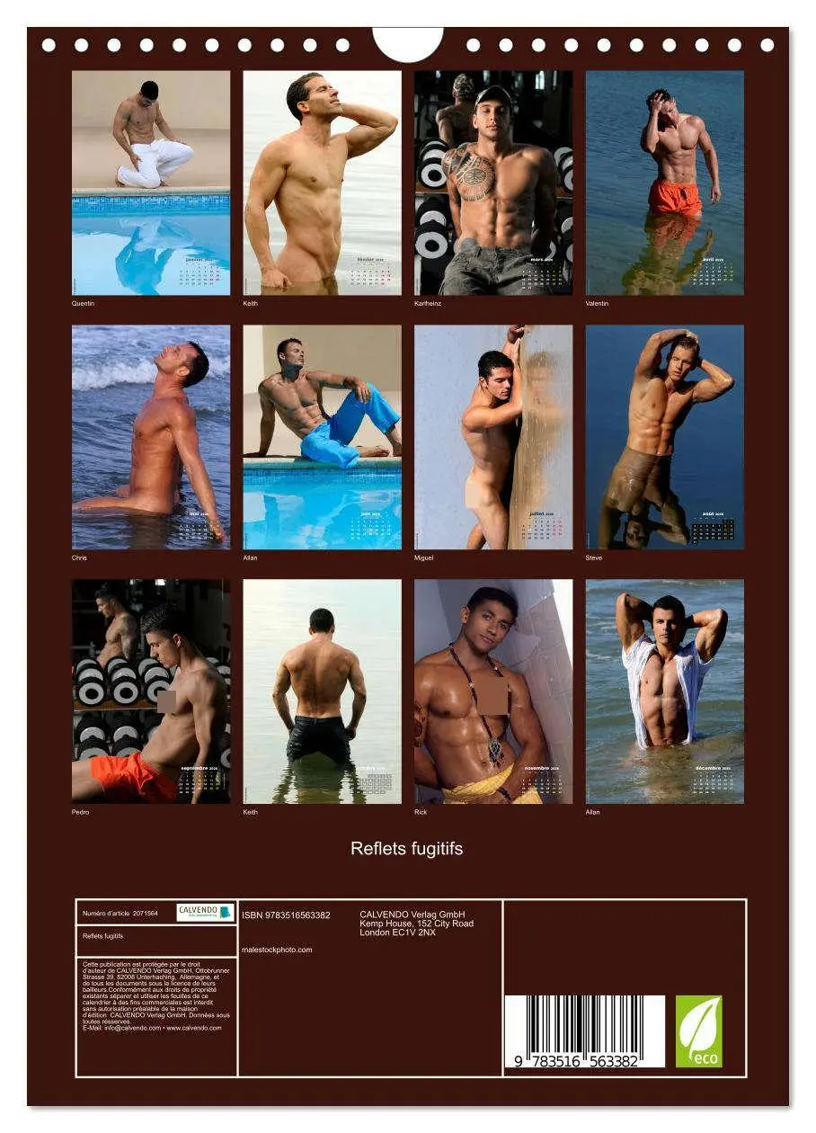 Bild: 9783516563382 | Reflets fugitifs (Calendrier mural 2026 DIN A4 horizontal),...