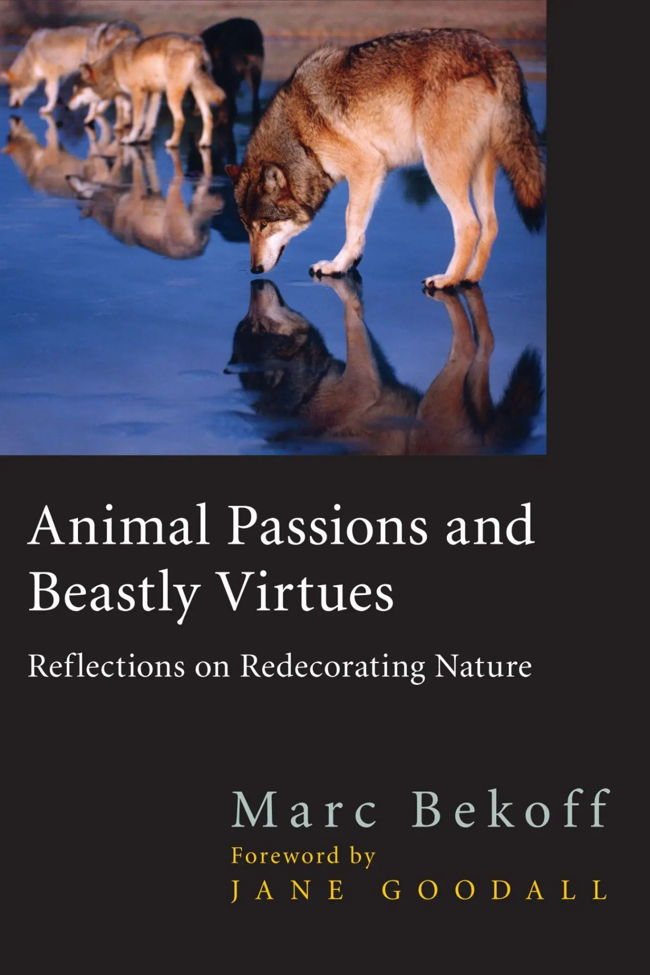 Cover: 9781592133482 | Animal Passions and Beastly Virtues | Marc Bekoff | Taschenbuch | 2005