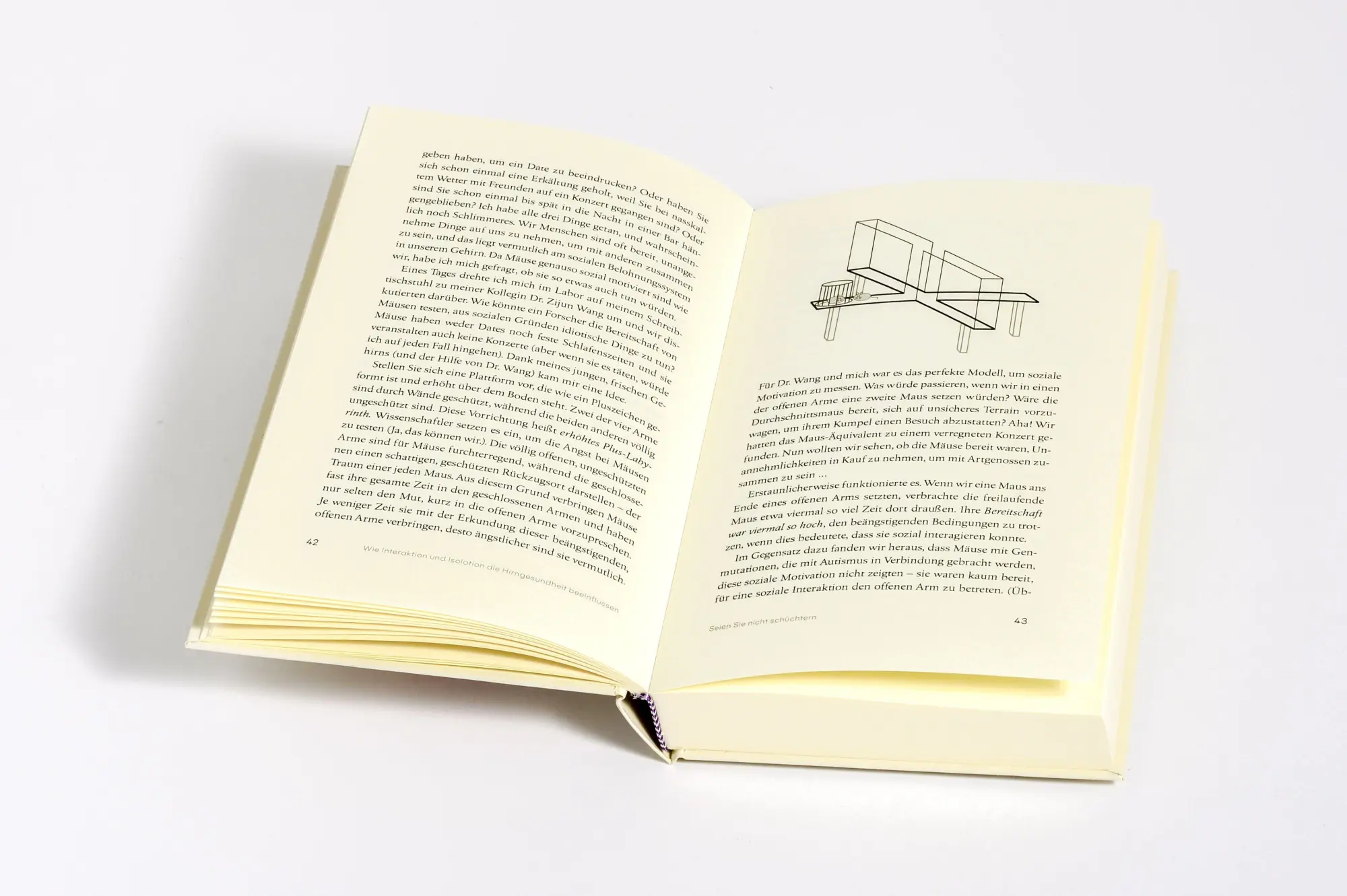 Bild: 9783466373482 | Happy Hirn | Ben Rein | Buch | 320 S. | Deutsch | 2025 | Kösel